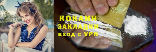прущий лед Бородино