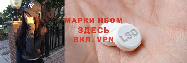 прущий лед Бородино