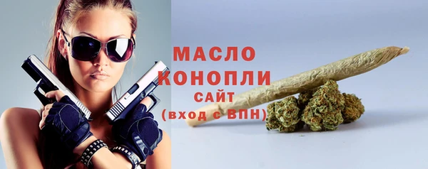 прущий лед Бородино