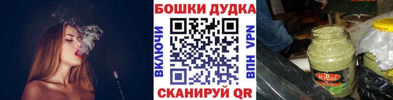 Купить где  Козьмодемьянск  Марихуана сатива 
